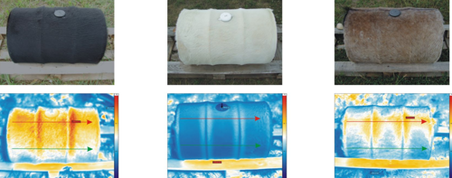 验3和4中使用的由不同皮革（黑牛，白牛，灰马）覆盖的六个阳光桶的照片